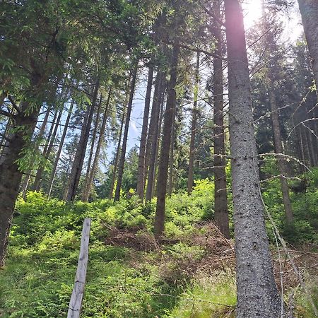 Naturpark Bauernhof Sperl Mariahof Exterior photo