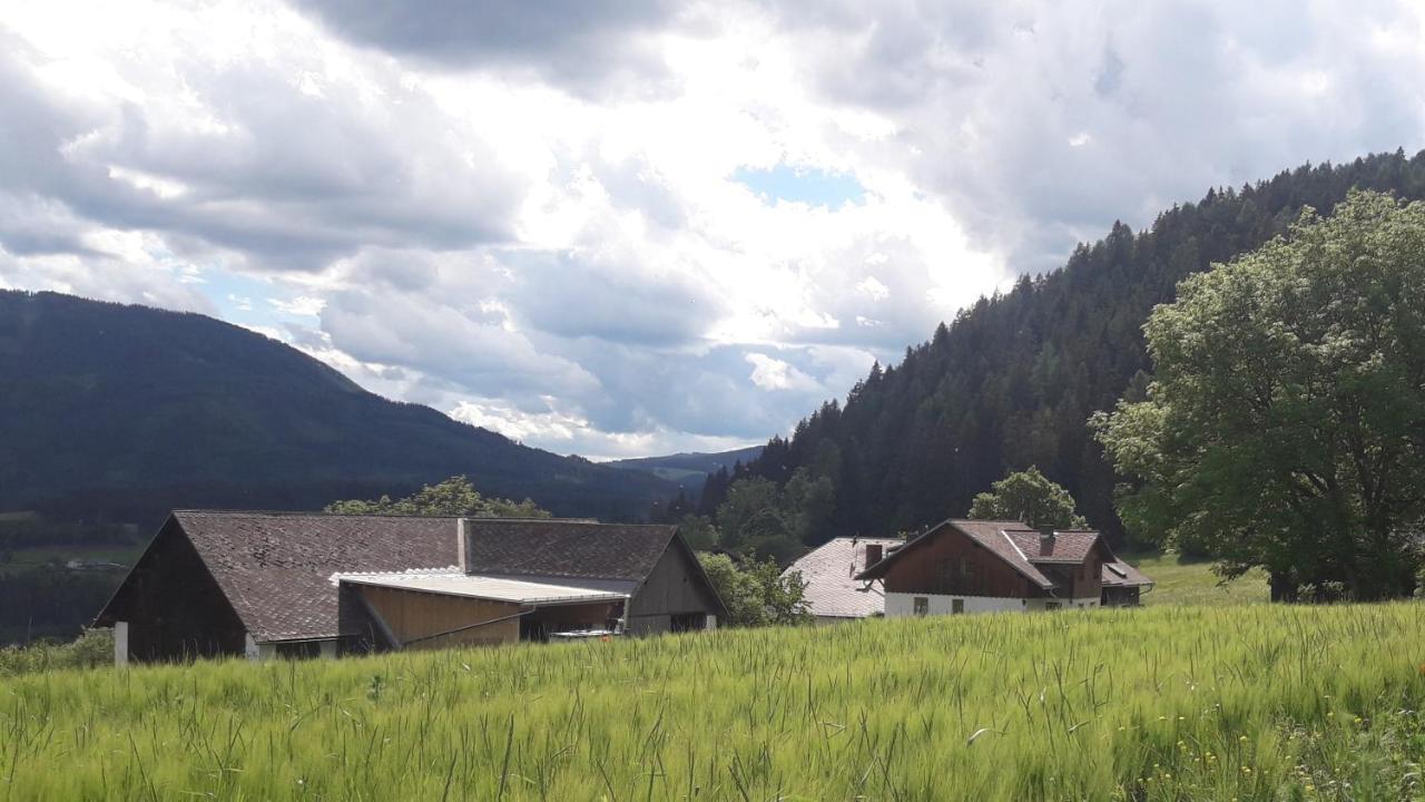 Naturpark Bauernhof Sperl Mariahof Exterior photo