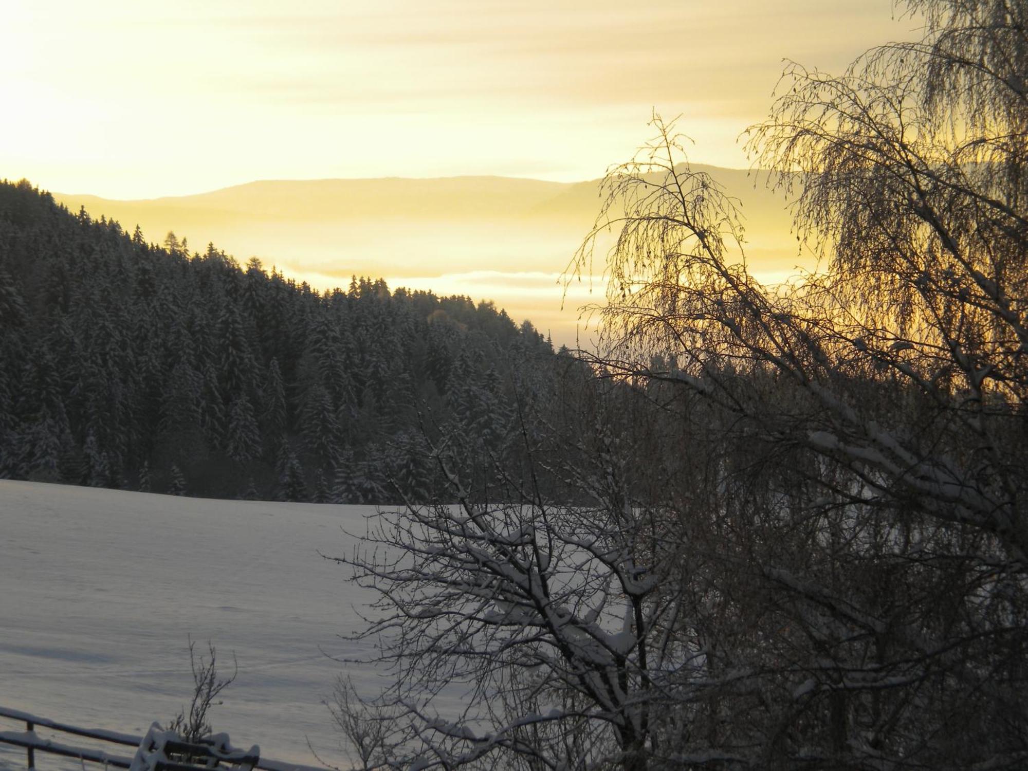 Naturpark Bauernhof Sperl Mariahof Exterior photo