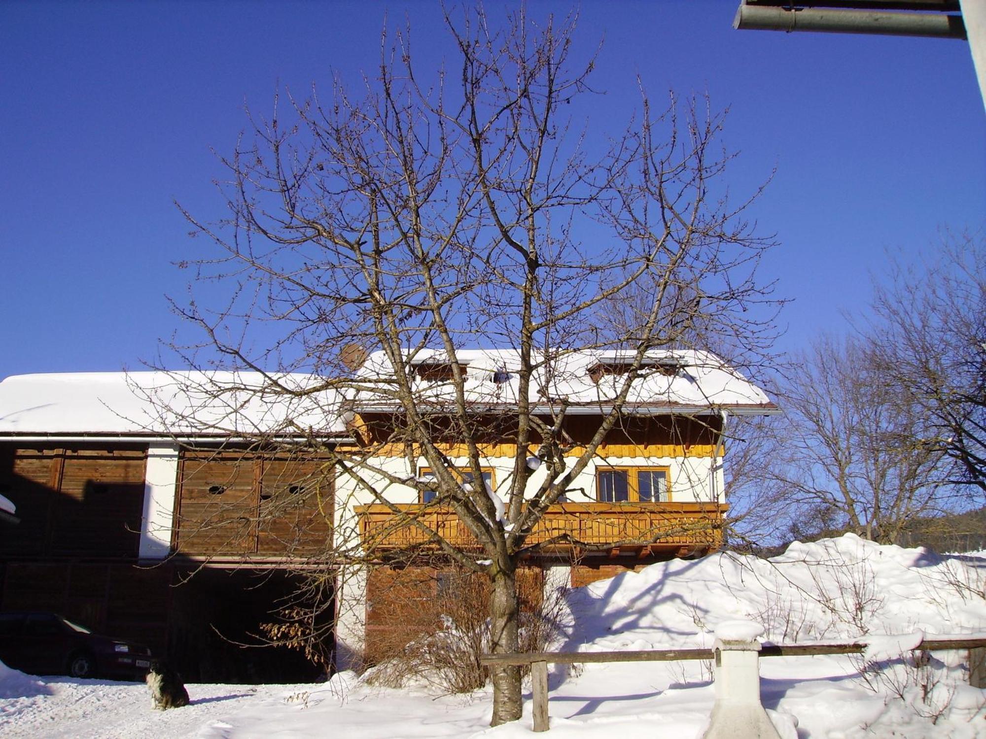 Naturpark Bauernhof Sperl Mariahof Exterior photo
