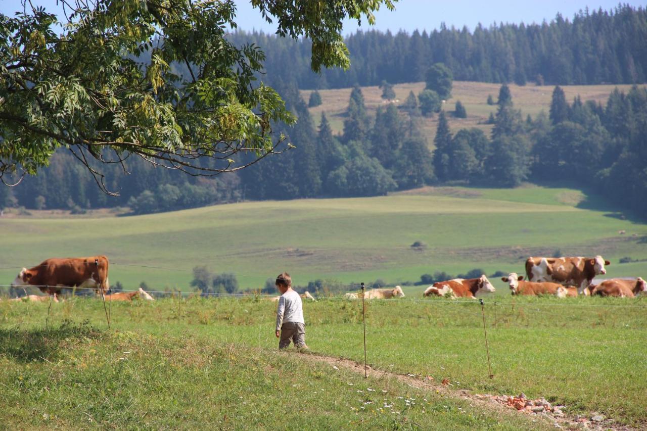 Naturpark Bauernhof Sperl Mariahof Exterior photo